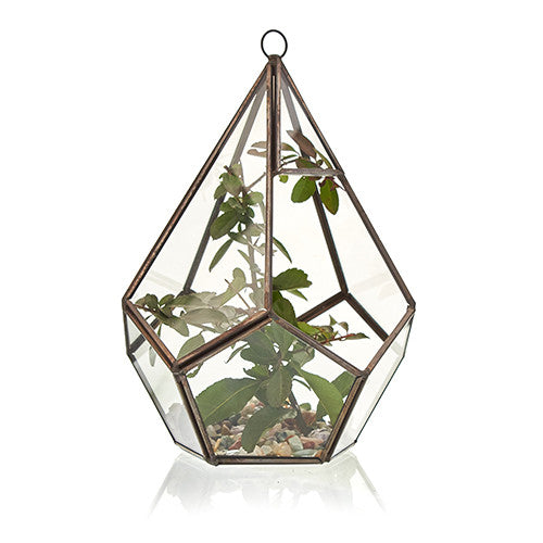 Glass Terrarium - Large Pentagon From Witch, Please!