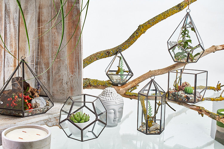 Glass Terrarium - Large Octagon From Witch, Please!