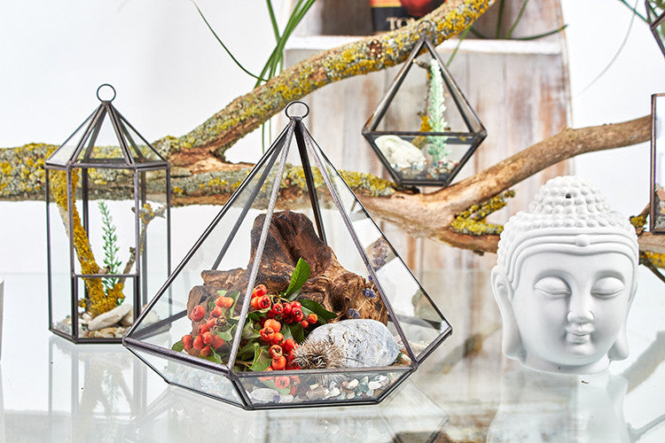 Glass Terrarium - Small Diamond From Witch, Please!