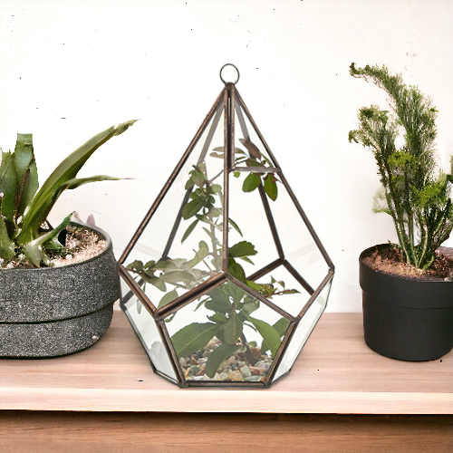 Glass Terrarium - Large Pentagon From Witch, Please!