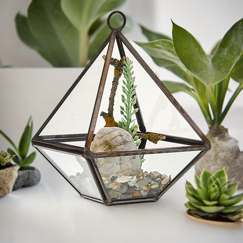 Glass Terrarium - Small Diamond From Witch, Please!