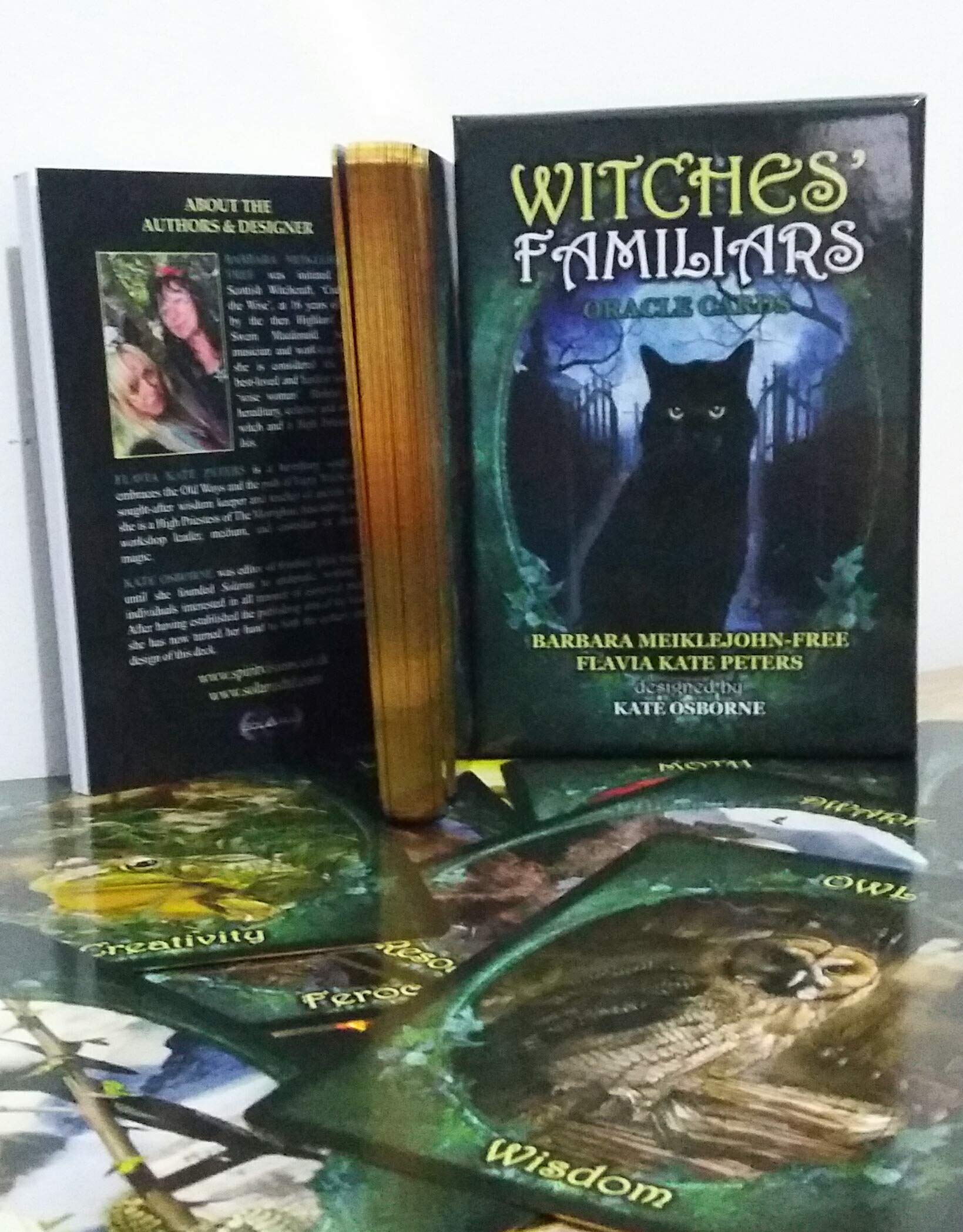 Witches' Familiars Oracle Cards