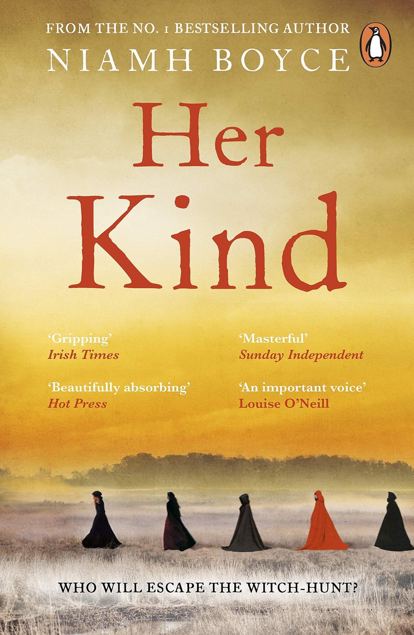 Her Kind : The gripping story of Ireland’s first witch hunt