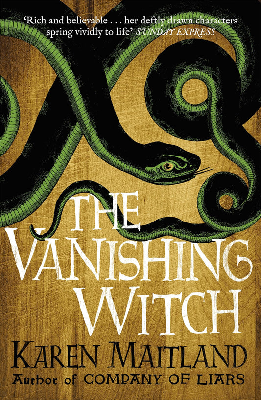 The Vanishing Witch : A dark historical tale of witchcraft and rebellion