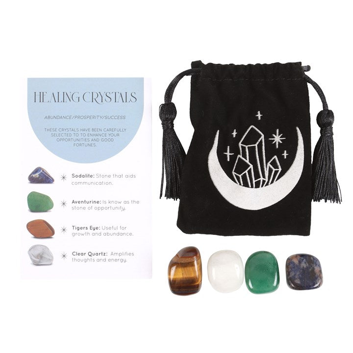 Success Healing Crystal Set with Moon Trinket Dish From Witch, Please!