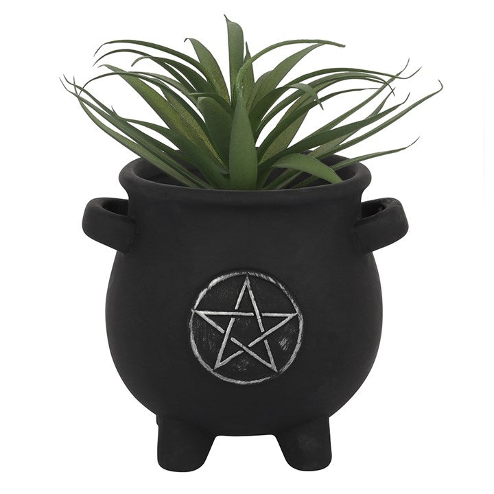 Pentagram Cauldron Plant Pot From Witch, Please!