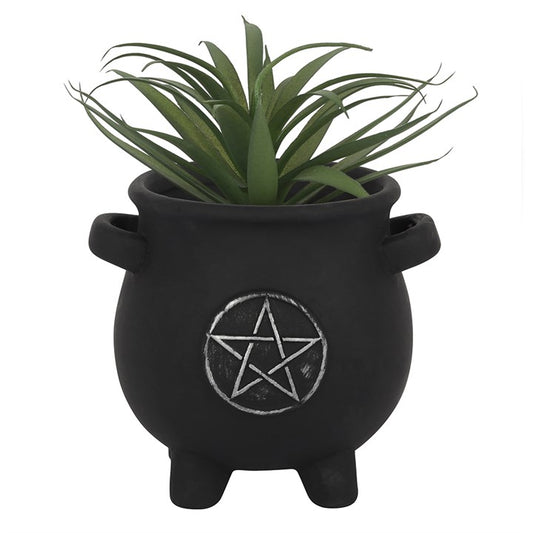 Pentagram Cauldron Plant Pot From Witch, Please!