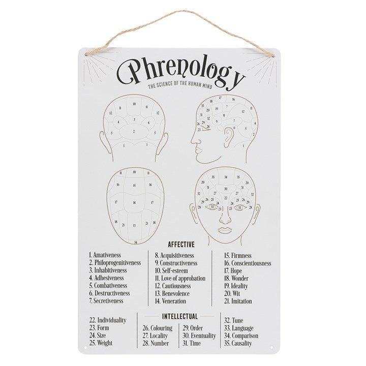 Phrenology Map Metal Sign From Witch, Please!