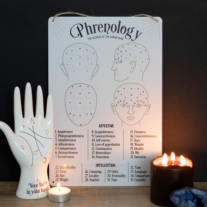 Phrenology Map Metal Sign From Witch, Please!