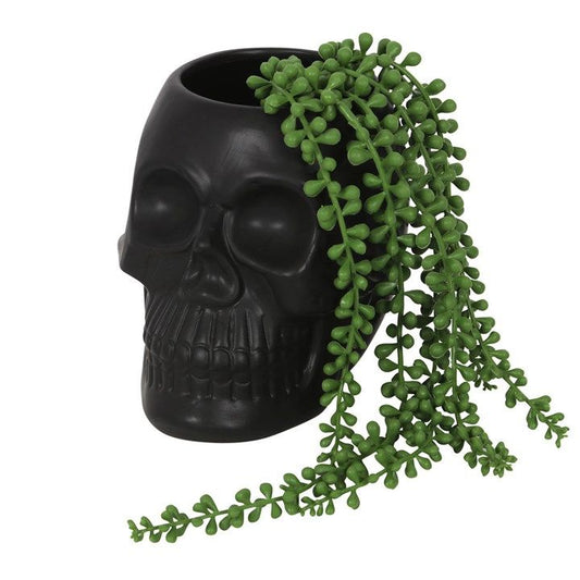 Black Skull Plant Pot From Witch, Please!