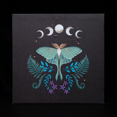 Luna Moth Light Up Canvas Plaque