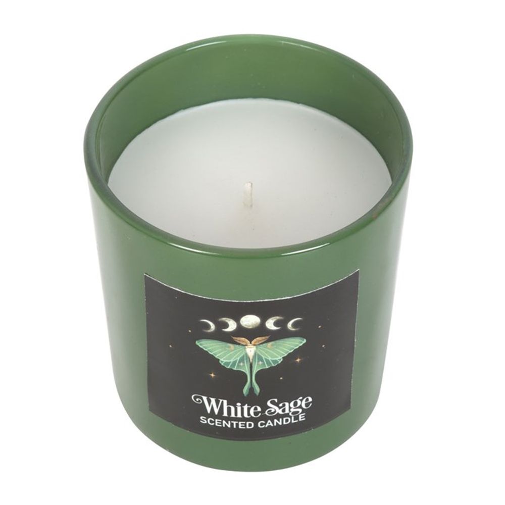 Luna Moth White Sage Candle From Witch, Please!