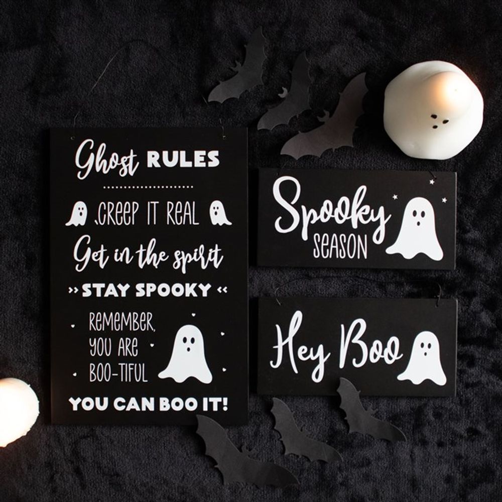 30cm Ghost Rules Hanging Sign From Witch, Please!