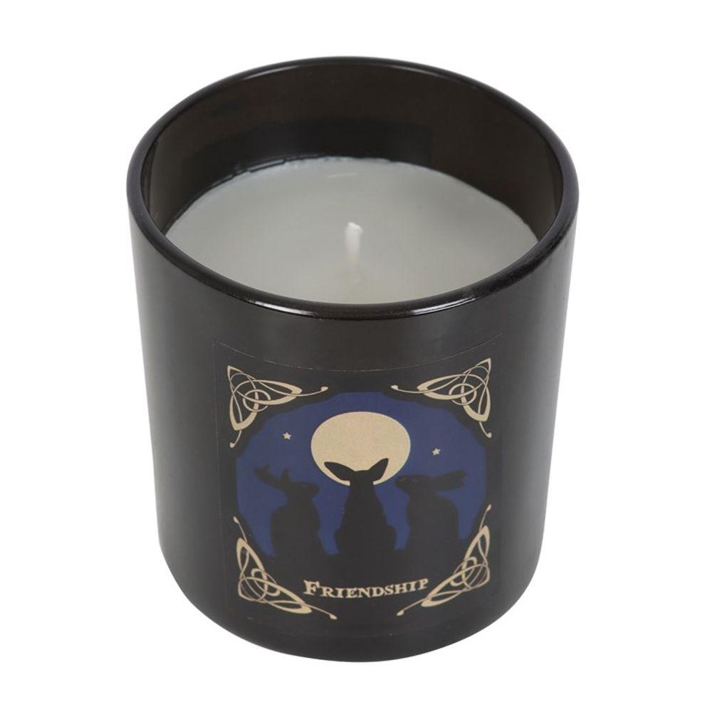 'Moon Gazing Hares' Friendship Candle by Lisa Parker From Witch, Please!