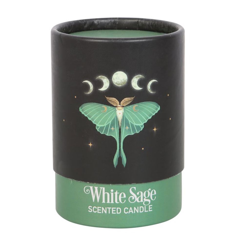 Luna Moth White Sage Candle From Witch, Please!