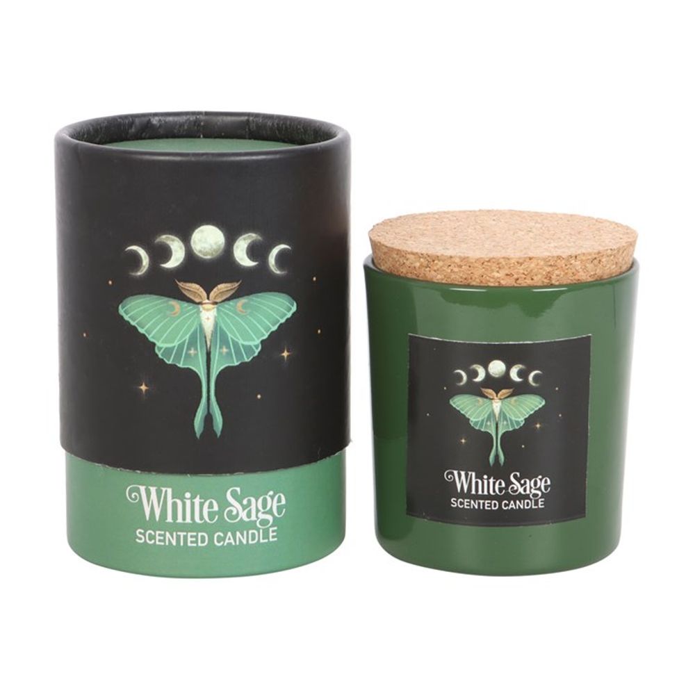 Luna Moth White Sage Candle From Witch, Please!