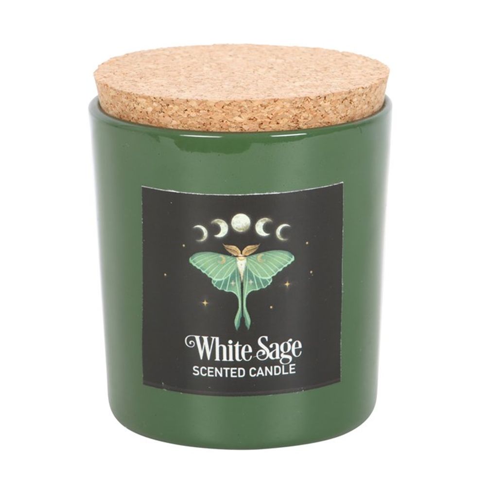 Luna Moth White Sage Candle From Witch, Please!