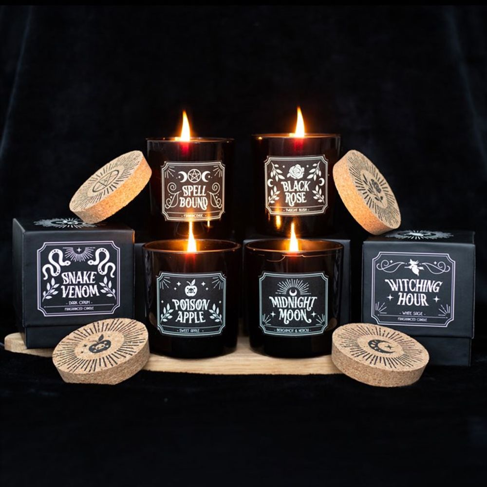 Set of 6 Midnight Ritual Candles From Witch, Please!